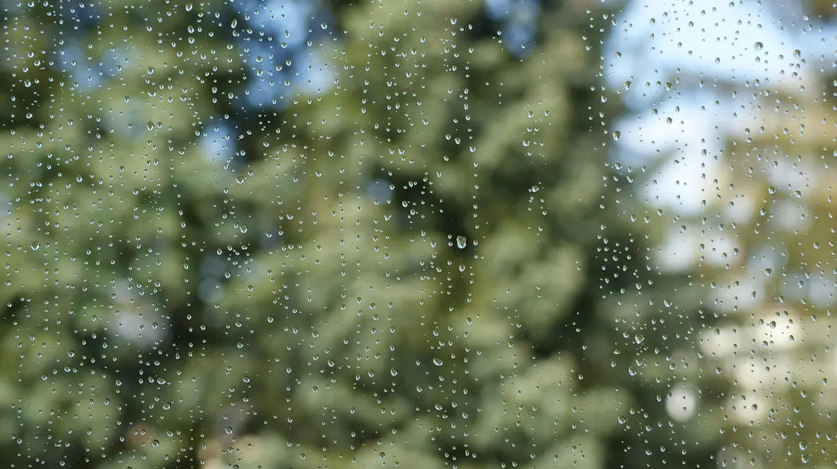 60 Journaling Prompts for Rainy Weekend Afternoons